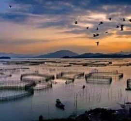 泰州伴游中国网景点丰富(旅游网介绍)