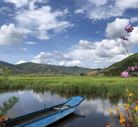 泰州旅游游记(旅游游记怎么写)