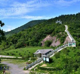 泰州休闲游(休闲旅游的含义及特点)
