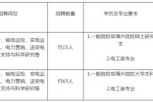 泰州重庆有雇用伴游外围吗(高端外围伴游雇用一单一结)