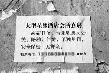 泰州珠海伴游雇用网(珠海游览社雇用信息)