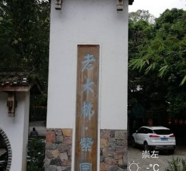 泰州关于伴游中国伴游你们伴得是什么游的信息