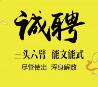 泰州私人伴游招聘 一线二线城市招聘大圈中圈小圈女孩商务模特佳丽女模名媛招聘高薪一单一结