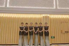 泰州杭州模特礼节兼职群(杭州兼职商务模特经纪人微信)