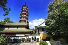 泰州广州自由行(广州 自由行)