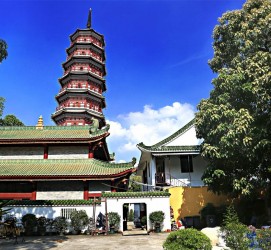 泰州广州自由行(广州 自由行)