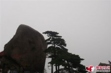 泰州上海伴游私家陪游雇用女模(上海伴游私家陪游雇用女模特)