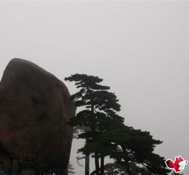 泰州上海伴游私家陪游雇用女模(上海伴游私家陪游雇用女模特)