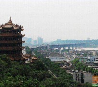 泰州武汉游玩攻略(武汉游玩攻略ppt)