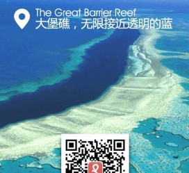 泰州中国250家旅行社结伴游新西兰(新西兰当地旅行社)