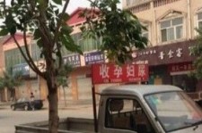 泰州上海伴游 用伴游造句大全(5