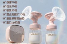 泰州奶模(奶模型)