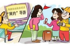 泰州伴游是什么