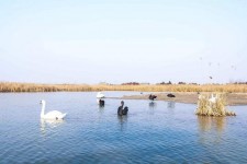 泰州南昌附近伴游小妹兼职(1534939978姐的微信德惠市)