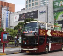 泰州上海私人伴游 上海过年怎么玩？这些“微游”线路了解下→