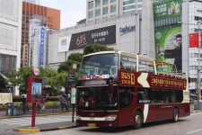 泰州上海私人伴游 上海过年怎么玩？这些“微游”线路了解下→