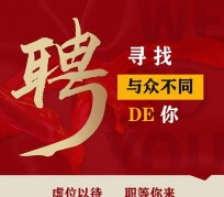 泰州商务伴游招聘 重庆星级酒店诚招司机服务员夜场保安