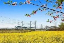 泰州高铁游(高铁游戏下载手机版)