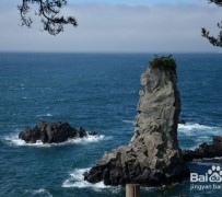泰州旅游全攻略(上海旅游全攻略)