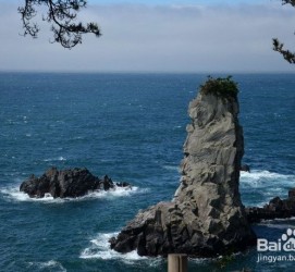 泰州旅游全攻略(上海旅游全攻略)