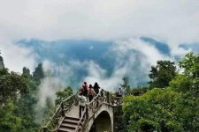 泰州二日游(二日游旅游攻略)
