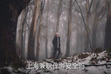 泰州上海私人伴游 上海伴游，上海兼职伴游安全吗