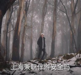 泰州上海私人伴游 上海伴游，上海兼职伴游安全吗