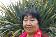 泰州白叟带老伴游半个中国(白叟外出旅游)