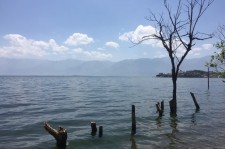 泰州洱海旅游攻略(洱海旅游攻略自由行)