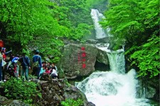 泰州安吉旅游攻略(湖州安吉旅游攻略)