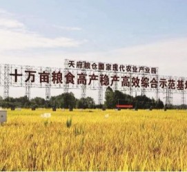 泰州关于成都商务伴游外围雇用的信息