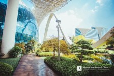 泰州杭州外围伴游雇用(杭州外围雇用经纪人)