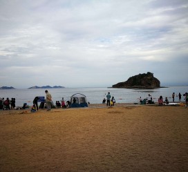 泰州五日游(五日游戏)