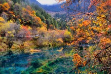 泰州四川旅游攻略(四川旅游攻略十五日游)