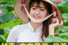 泰州日本关东伴游中国(日本关西旅行)