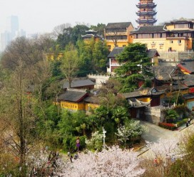 泰州南京周边游(南京周边游景点大全 自驾车旅游)