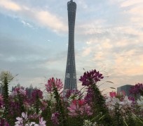 泰州广州旅游攻略(杭州到广州旅游攻略)