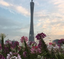 泰州广州旅游攻略(杭州到广州旅游攻略)