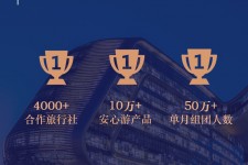 泰州上海私人伴游 ​ “小而美”的新时代：2020年国内新跟团消费报告