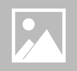 泰州最新导游伴游雇用信息(最新导游伴游雇用信息大全)