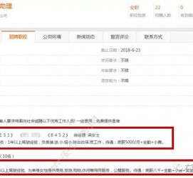泰州广州伴游雇用平台(广州私家助理伴游雇用)