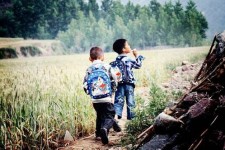 泰州河南一家四口结伴游中国2个月(河南适合一家四口旅游的地方)