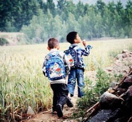 泰州河南一家四口结伴游中国2个月(河南适合一家四口旅游的地方)