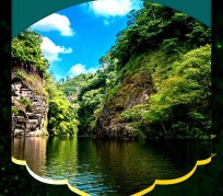 泰州旅游报价(旅行团旅游报价)