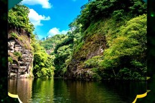 泰州旅游报价(旅行团旅游报价)