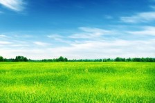 泰州上海伴游 上海模特伴游微信号的交友宣言