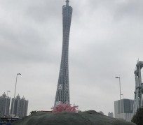 泰州广州游玩攻略(广州游玩攻略景点大全免费)