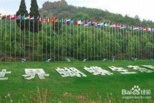 泰州昆明旅游攻略(昆明旅游攻略景点大全抚仙湖)