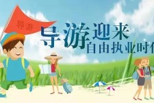 泰州私人伴游 “网约导游”到底是正流行 还是不热闹