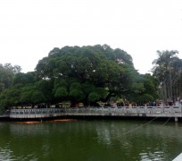 泰州福州旅游攻略(福州旅游攻略二日游)